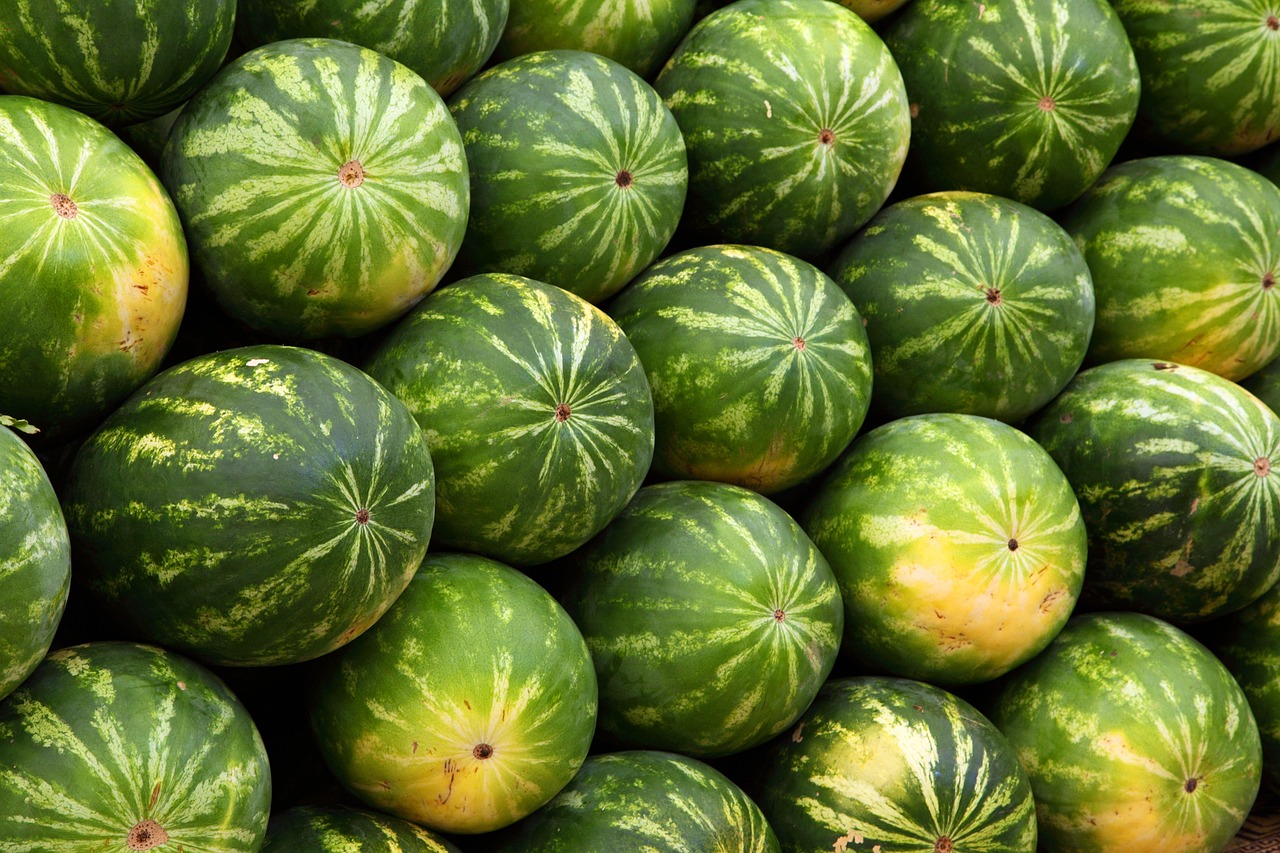 découvrez les opportunités de marché qui vous permettront de dynamiser votre croissance et de saisir de nouvelles perspectives d'affaires. profitez des tendances émergentes et des insights sectoriels pour maximiser votre stratégie commerciale.