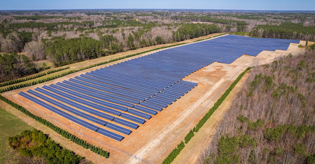 découvrez l'importance du développement durable, une approche qui vise à concilier croissance économique, protection de l'environnement et équité sociale pour un avenir meilleur et responsable.