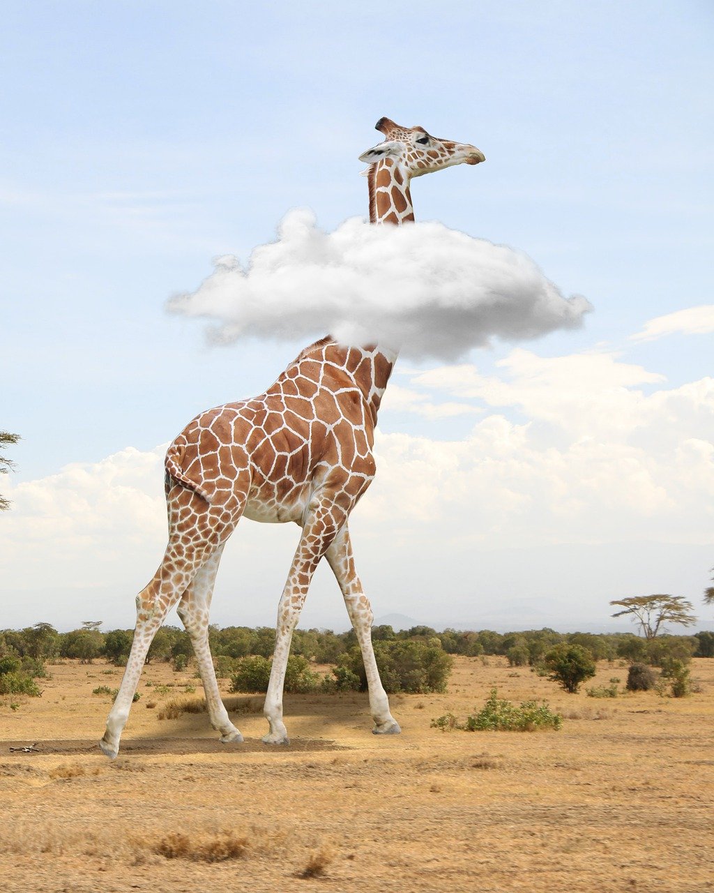 découvrez les industries prometteuses en afrique, offrant des opportunités de croissance économique et d'innovation dans divers secteurs clés du continent.