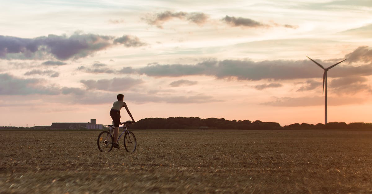 L’impact du développement durable sur la stratégie d’entreprise