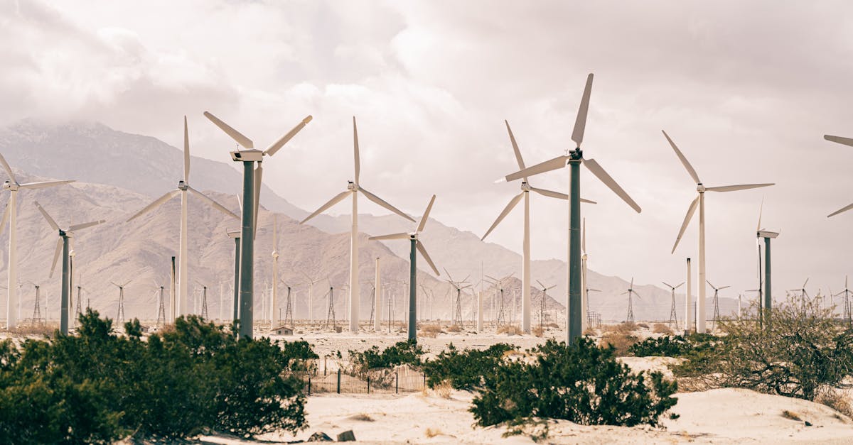 Développement durable : Les initiatives innovantes pour un avenir vert