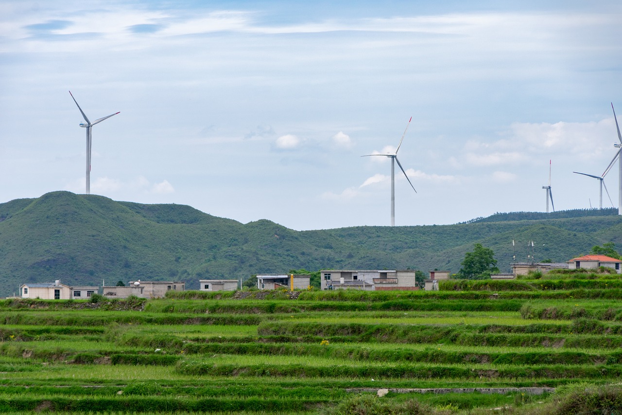 Investir dans le développement durable : un choix gagnant