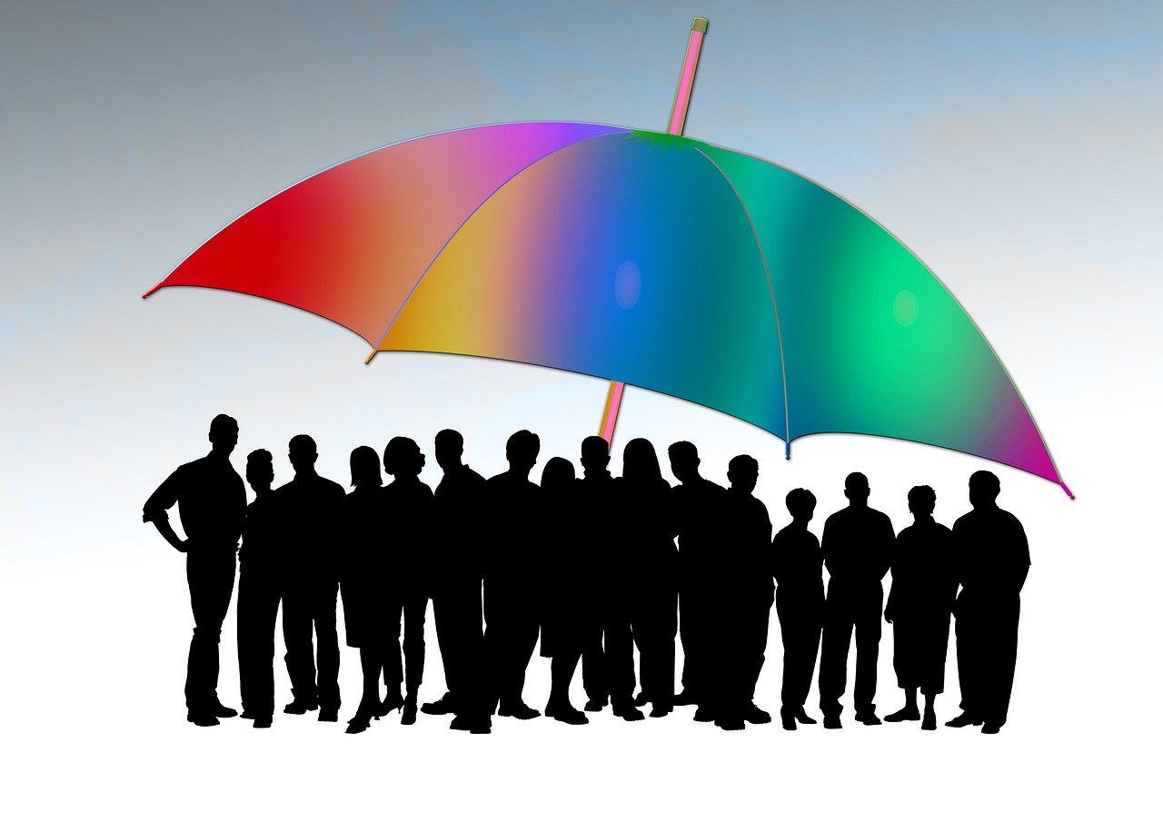 L’influence des tendances de consommation sur l’entrepreneuriat : témoignages